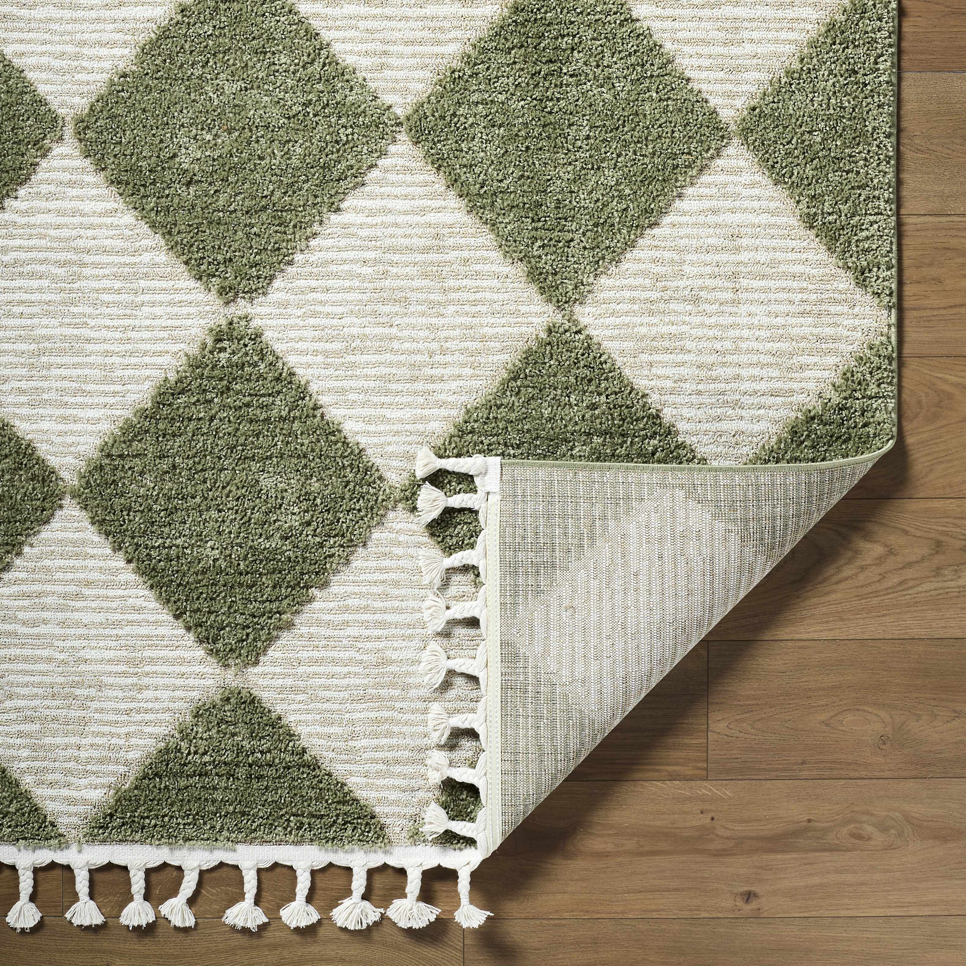 Aitana Area Rug - Image 4